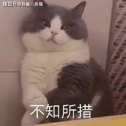 倪妮被代拍欺负pgone卖惨乔欣反矫情胡宇桐杠上臧鸿飞

