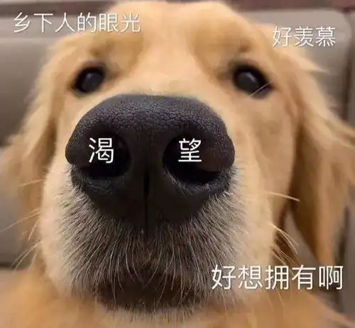 沙雕表情包斗图必备
