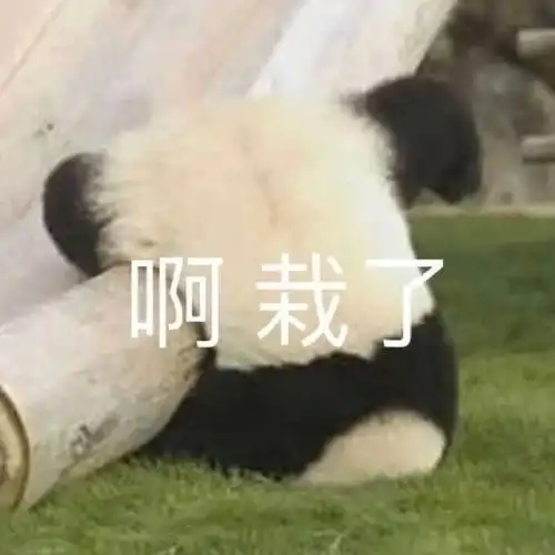 让你家臭宝瞬间无语的表情包
