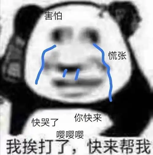 又在决斗派对挨打了
