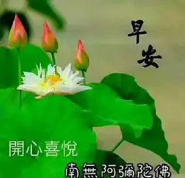 群发早晨好问候语图片表情,漂亮早上好问候语动表情图片
