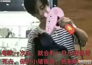 你可拉倒吧小猪佩奇表情包保护小猪佩奇抵制吹头小猪佩奇吹风机表情包图片下载乐游网游戏下载
