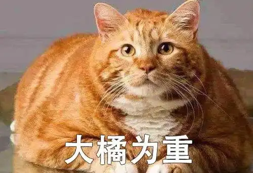名侦探橘猫,上线
