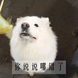 图集丨有了这套表情包,再也不怕撩男神时的尬
