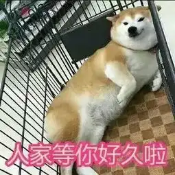 手机微信doge表情包下载doge表情包卡通小版下载腾牛下载
