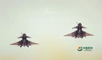 扬我空军雄姿俄国摄影师镜头下的八一飞行表演队
