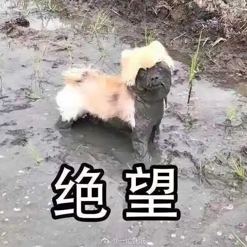 来大姨妈量多是怎样的体验

