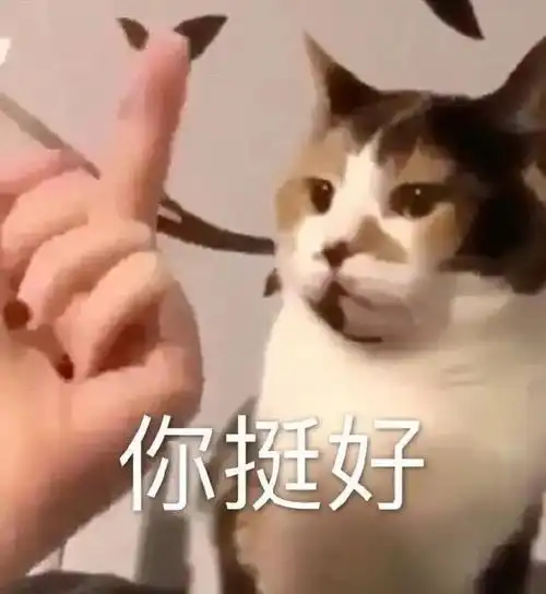 和谈了5年的女友因为彩礼分手了网友的吐槽令我迷惑了
