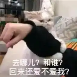 撩小姐姐的表情包,让聊天变甜