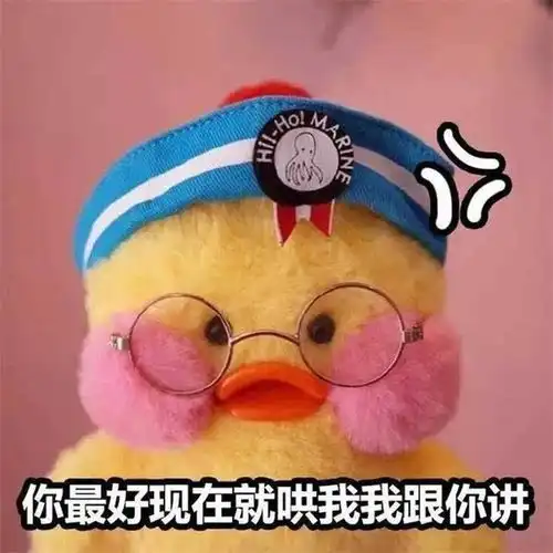 腮红用得好,大脸也显小不信你看这只玻尿酸鸭鸭
