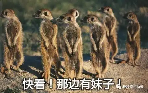 听说十一你要出去转转
