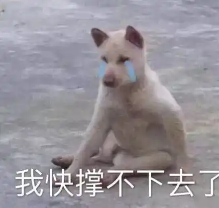 au交友团站住不许动你被我看上了,我要把我送给你
