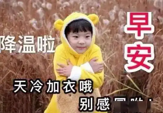 新版早上好表情包动态图片暖心漂亮的早上好可爱表情包
