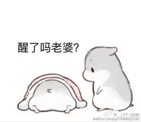 仓鼠球表情包系列老婆起床
