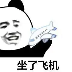 呼呼呼小飞机熊猫头表情包
