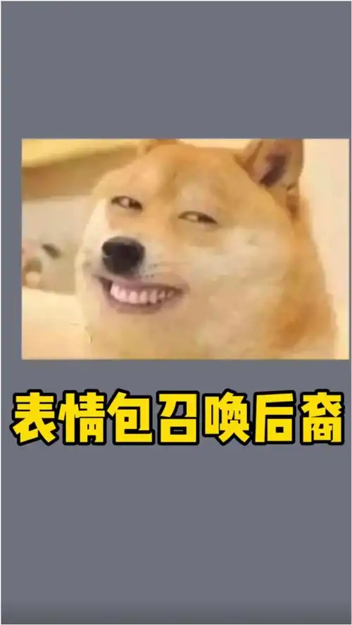用什么表情包召唤后裔你们竟然给我推荐这个
