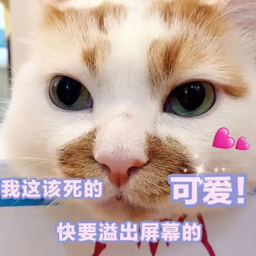 吃完饭到小区广场溜崽,和儿子差不多大的一个女娃特喜欢要我抱
