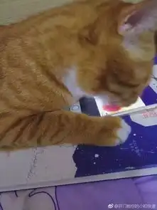 感觉再也不能直视这个表情了
