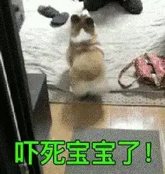 不是说好的蛇会冬眠吗怎么这条2米长的大蛇不睡觉在我家小区漫步
