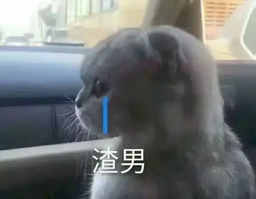 宝山宜家商场,3位老阿姨为一老头子大打出手...
