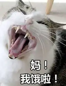 最近很火的表情妈
