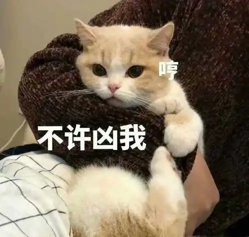 超详细的图文pwah5webapp优化探索之路serviceworker,lighthouse

