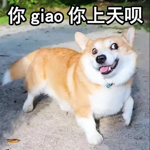 我的现状,社交恐惧症与交际圈狭窄你俩没一个是无辜的