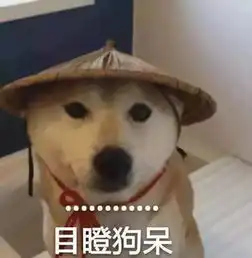 你zao吗有了它,我也穿上了品如的衣服
