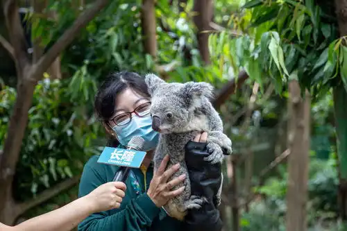 考拉家族在广州实现七代同堂
