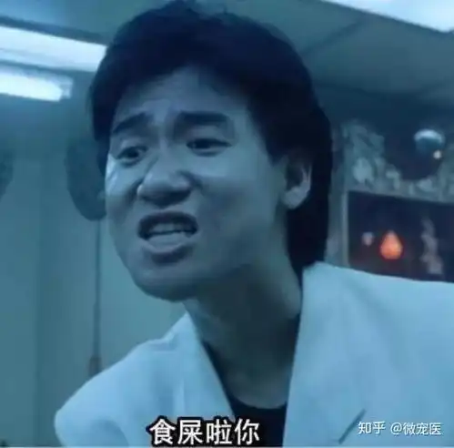提早准备,不要再找不靠谱的公司来过猫节了
