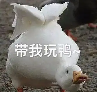 没想到12星座都是这样的第一名
