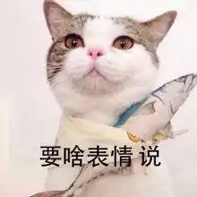 小编客户恼了,非让我发个表情包哄哄她内含海量表情包笑话频道...
