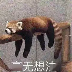 高考完的那个夏天,你在干吗
