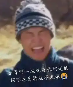 这次的机翻终于能看懂了
