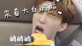 照顾照顾偶像包袱吧,福西西尽量不要太沙雕,哈哈哈

