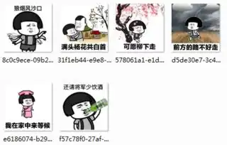抖音狼烟风沙口表情包大全
