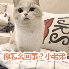 你怎么回事小老弟表情包
