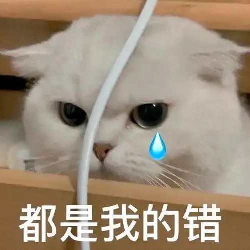 离我远点,ok第212期猫咪表情包

