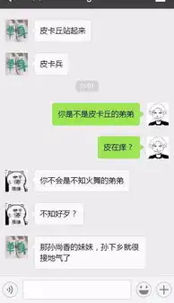 你是不是皮卡丘的弟弟,皮在痒
