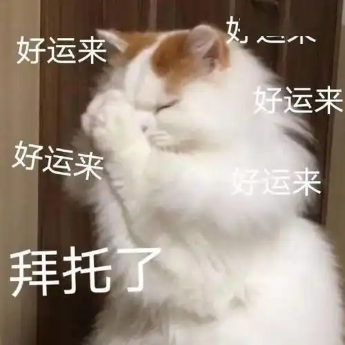 草,卷起来了
