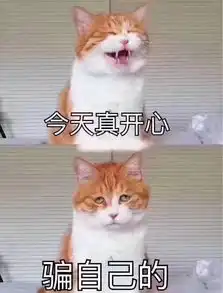 有些猫看起来很社会,但其实是个小可爱
