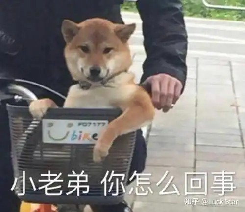 为什么发这个表情包她很生气
