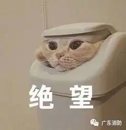 6号台风百合已生成,看看贵屿接下来的天气

