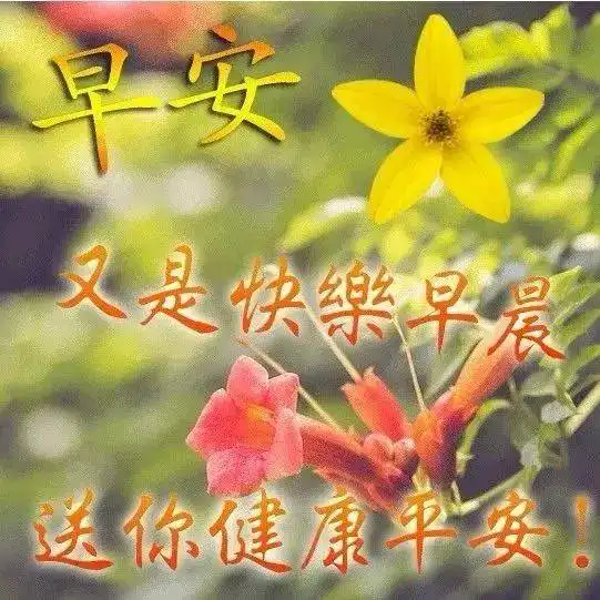 寒冷清晨发朋友圈的早上好漂亮图片早安动图,早安唯美动态表情祝福语图片
