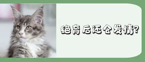 猫咪绝育后还会发情吗
