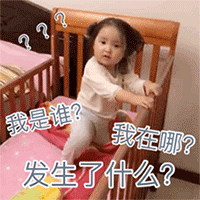 在普陀山搭公交是一种什么体验中途不靠站,上车需预约
