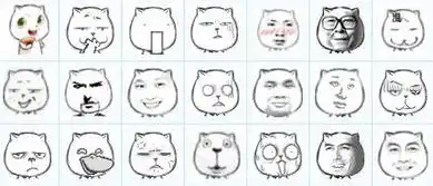 猥琐猫大图表情包
