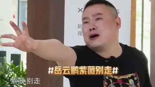 极限挑战岳云鹏模仿尔康的紫薇别走表情包,要笑喷了
