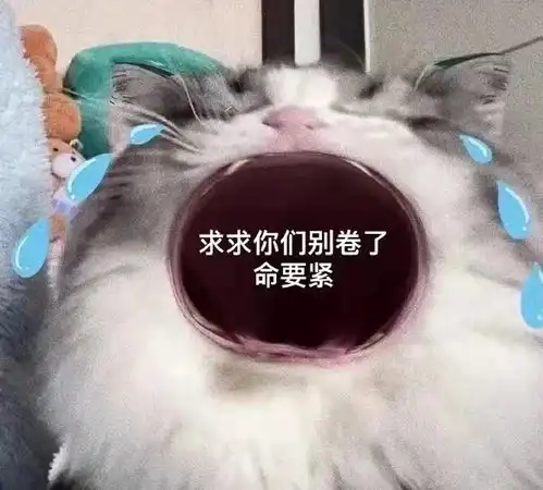 关于内卷你怎么看
