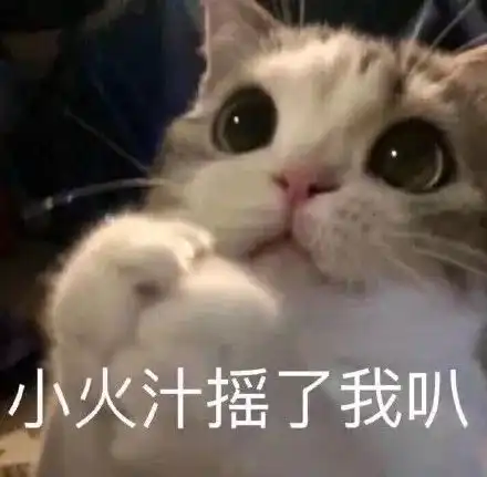 可爱沙雕表情包成年人除了疲惫还剩下什么
